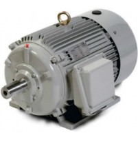 Motor cho máy rửa xe Lutian 5.5kw