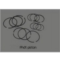 PHỚT PISTON