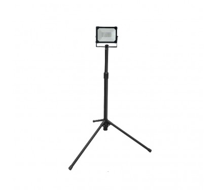 Đèn pha led 1 bóng chân led 30W 2700LM YT-81816